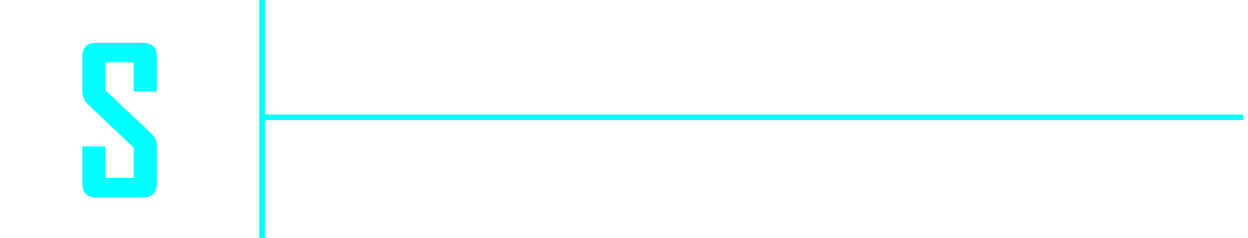 Logo Webentwicklung Schulte